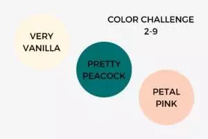 Color Challenge 2-9